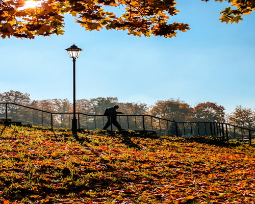 A person walking through a bright urban park during a crisp autumn morning in Romania