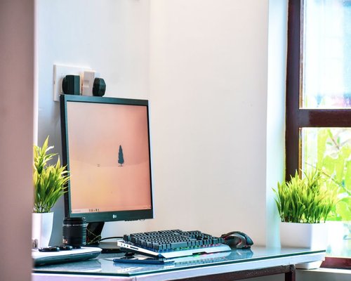 A well-organized, minimalist workstation with ample natural lighting and green plants indicating a balance of comfort